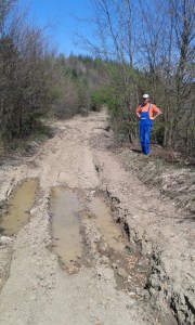 Дејан Стјепановић