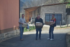 Звонко Михајловић, Јан Урбанчик, Петер Кеснер